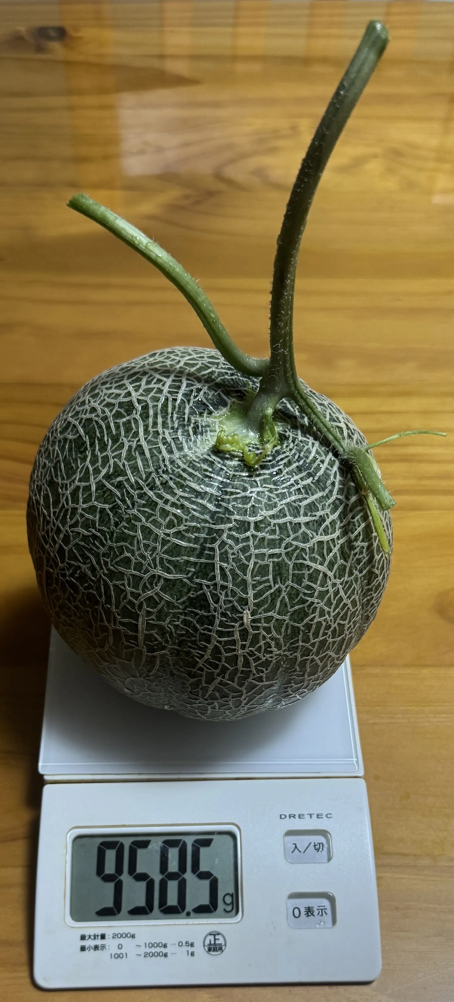 収穫したメロン1