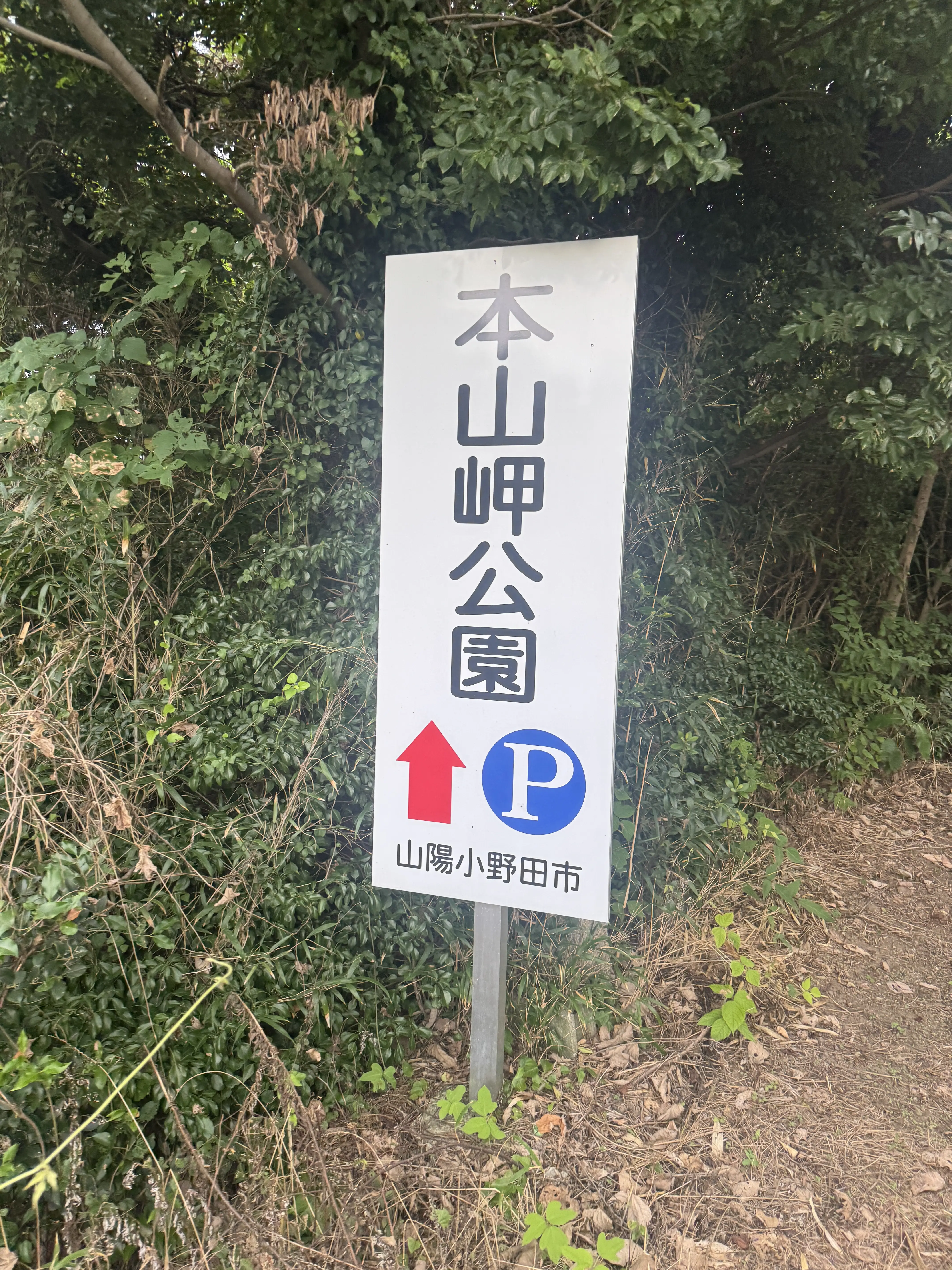 案内看板